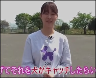 郡司さんのtシャツがかわいい どこで買えるのか調べてみた